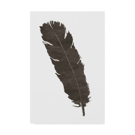 Chris Paschke 'Black Feather V' Canvas Art,12x19